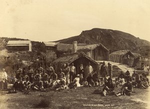 Whakerewarewa, 1889 eller 1890 (albumintrykk)